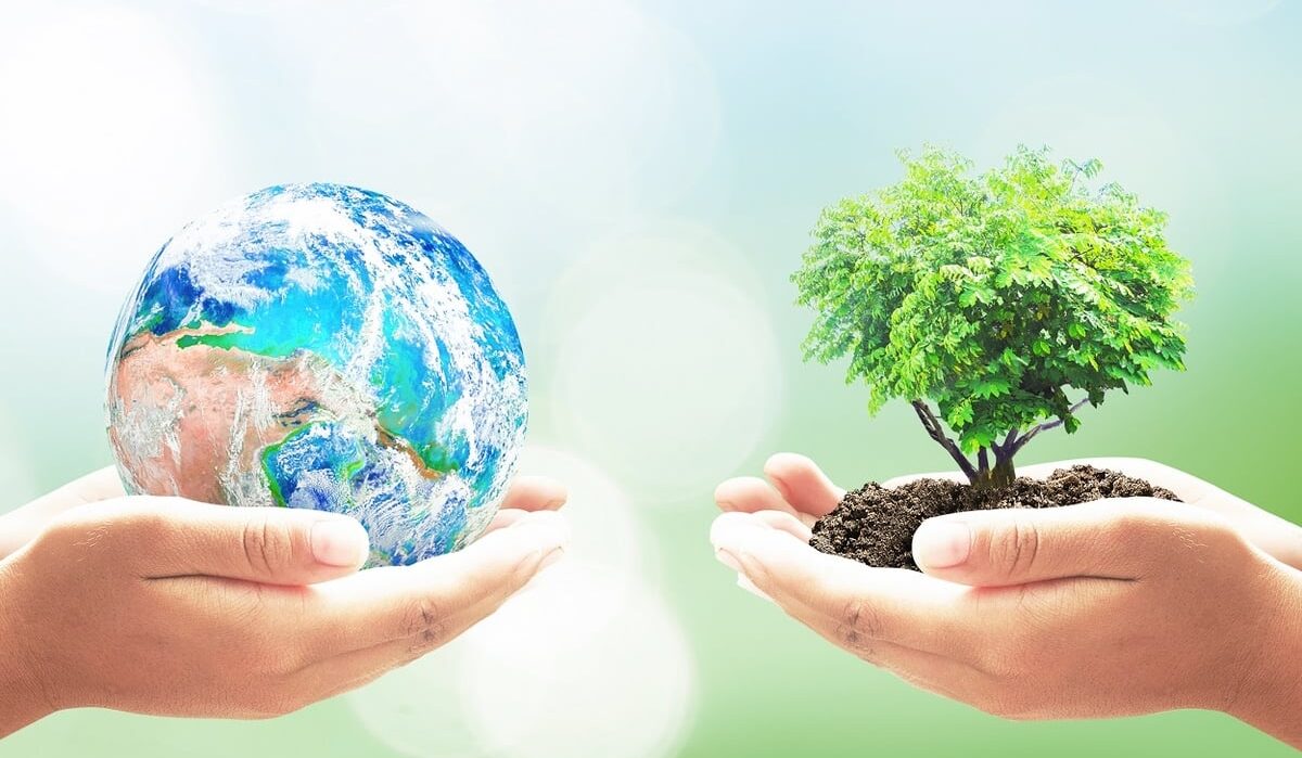 العناية بالبيئة: كيف يمكن لكل فرد أن يساهم في الحفاظ على كوكبنا